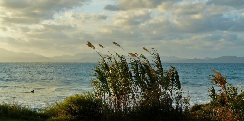 The pacific ocean shelf tracking project