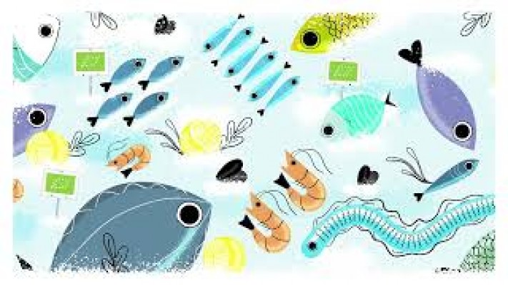 Organic Aquaculture