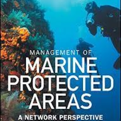 Socioeconomic Impacts of Networks of Marine Protected Areas.