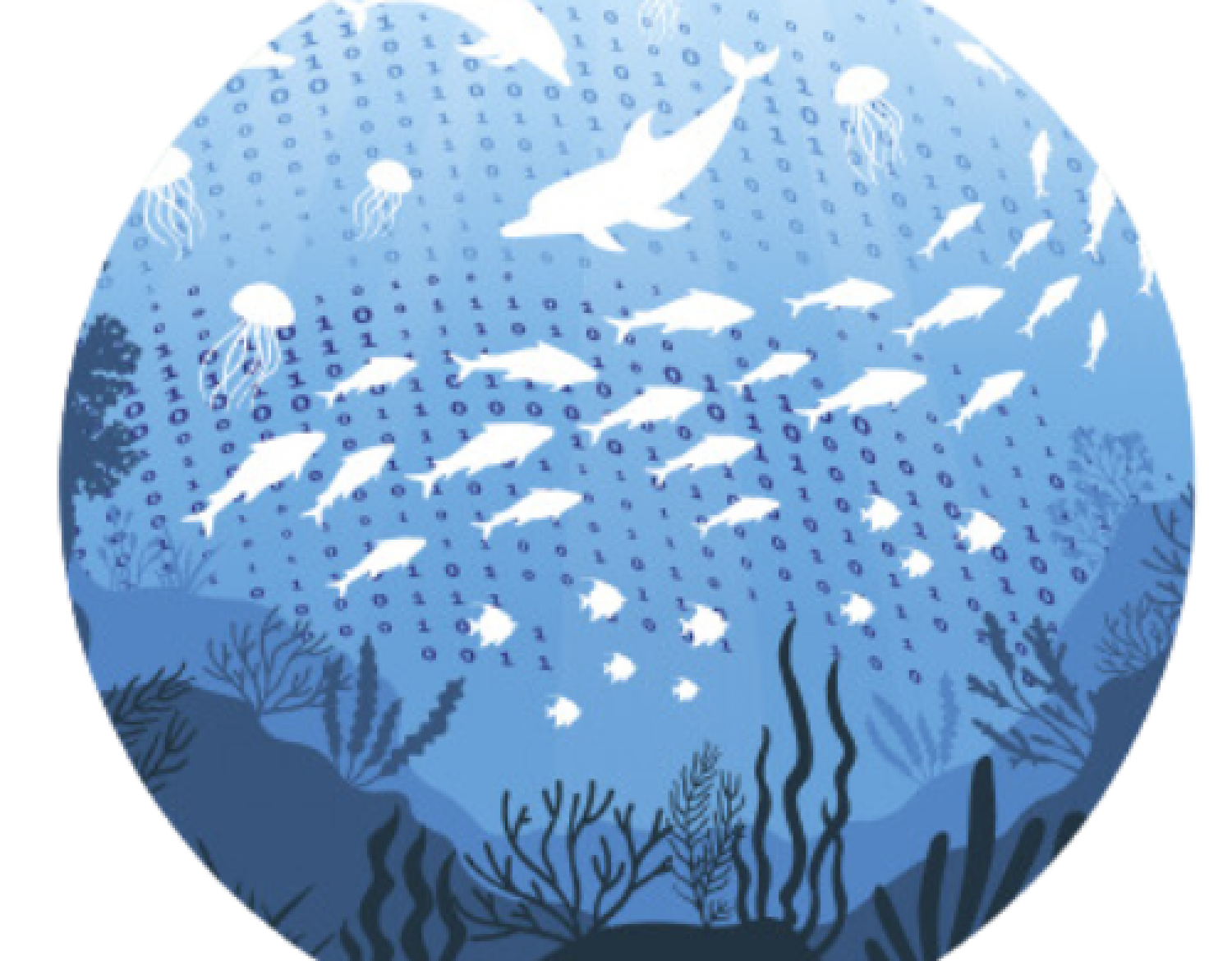 HORIZON Europe project DTO-BioFlow | Integrazione di dati di monitoraggio sulla biodiversità nel sistema “EU Digital Twin Ocean”