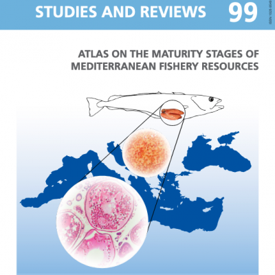 Atlas of the maturity stages of Mediterranean fishery resources.